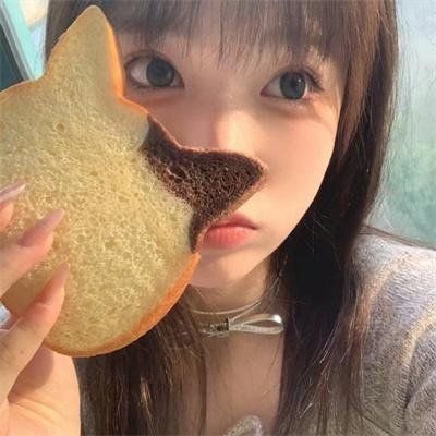 星掠者